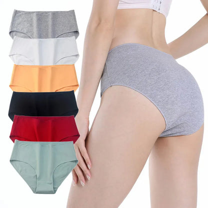 Cotton High Waist Panties – Buy 5 Get 10