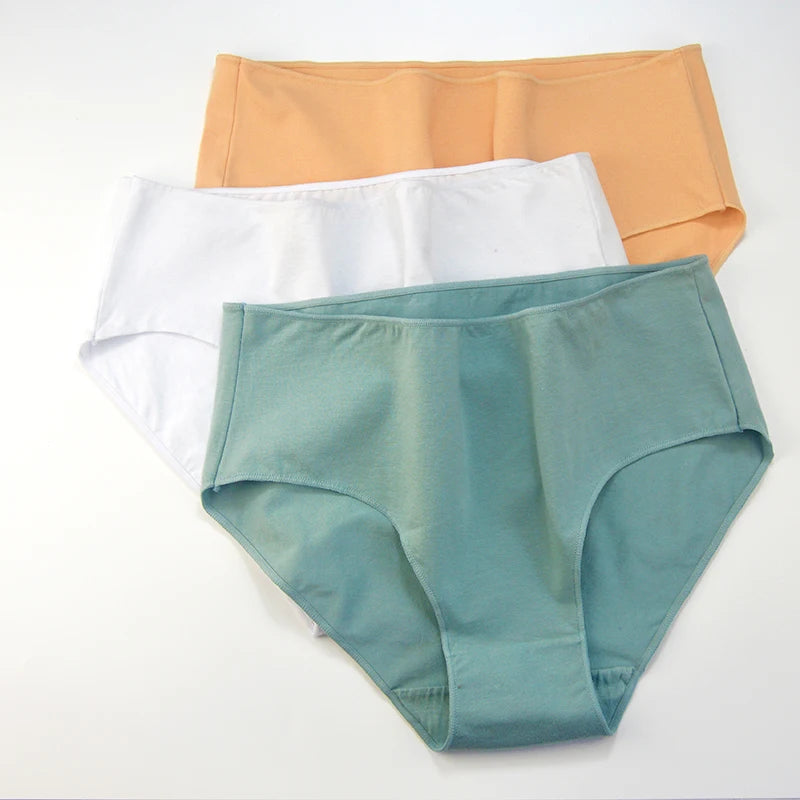 Cotton High Waist Panties – Buy 5 Get 10