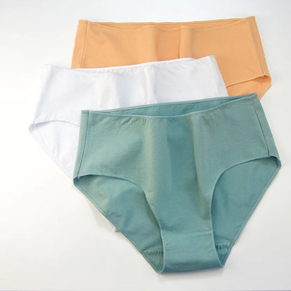 Cotton High Waist Panties – Buy 5 Get 10