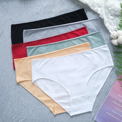 Cotton High Waist Panties – Buy 5 Get 10